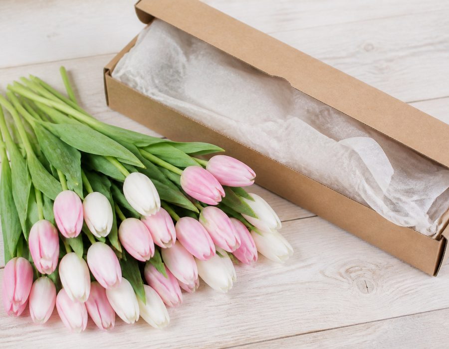 Letterbox Tulip Bunch